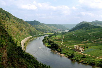 Mosel